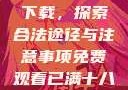 免费观看已满十八岁电视剧下载，探索合法途径与注意事项免费观看已满十八岁电视剧下载视频