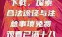 免费观看已满十八岁电视剧下载，探索合法途径与注意事项免费观看已满十八岁电视剧下载视频