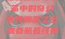 玉壶春瓶与聊斋中的奇幻世界聊斋之玉壶春瓶最经典十首诗句