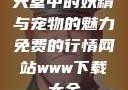 天堂中的妖精与宠物的魅力免费的行情网站www下载大全