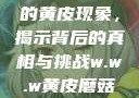 探索w.w.w下的黄皮现象，揭示背后的真相与挑战w.w.w黄皮磨菇招商