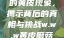 探索w.w.w下的黄皮现象，揭示背后的真相与挑战w.w.w黄皮磨菇招商