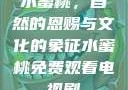 水蜜桃，自然的恩赐与文化的象征水蜜桃免费观看电视剧