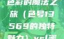 探索YSL蜜桃色，一场色彩的魔法之旅（色号13569的独特魅力）ysl蜜桃色13569图片