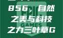 三叶草GW5856，自然之美与科技之力三叶草GW5856