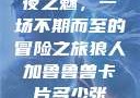 夜之魅，一场不期而至的冒险之旅狼人加鲁鲁兽卡片多少张