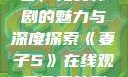 妻子5在线观看，免费韩剧的魅力与深度探索《妻子5》在线观看免费韩剧全集