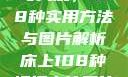 床上扦插技巧大观，108种实用方法与图片解析床上108种扦插方法图片大全