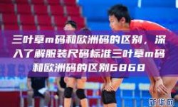 三叶草m码和欧洲码的区别，深入了解服装尺码标准三叶草m码和欧洲码的区别6868