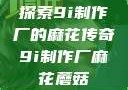 探索9i制作厂的麻花传奇9i制作厂麻花蘑菇