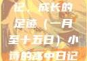 小诗的高中日记，成长的足迹（一月至十五日）小诗的高中日记1一15小说