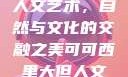 可可西里大的人文艺术，自然与文化的交融之美可可西里大但人文艺术图