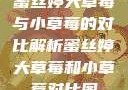 蜜丝婷大草莓与小草莓的对比解析蜜丝婷大草莓和小草莓对比图