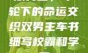 双男主，车轮下的命运交织双男主车书细写校霸和学霸
