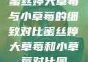 蜜丝婷大草莓与小草莓的细致对比蜜丝婷大草莓和小草莓对比图