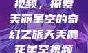 天美麻花星空视频，探索美丽星空的奇幻之旅天美麻花星空视频剧组的故事