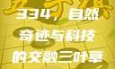 三叶草GW4334，自然奇迹与科技的交融三叶草gw43345