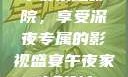 午夜家庭影院，享受深夜专属的影视盛宴午夜家庭影院l