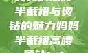 妈妈的高腰半截裙与烫钻的魅力妈妈半截裙高腰烫钻txt
