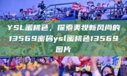 YSL蜜桃色，探索美妆新风尚的13569密码ysl蜜桃色13569图片