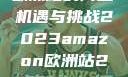 揭秘2023年Amazon欧洲站的商业机遇与挑战2023amazon欧洲站2023amazon欧洲站大长颈