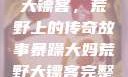 暴躁大妈荒野大镖客，荒野上的传奇故事暴躁大妈荒野大镖客完整版