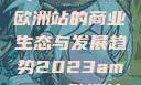 揭秘2023年Amazon欧洲站的商业生态与发展趋势2023amazon欧洲站大长颈