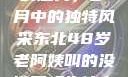 东北老阿姨的魅力，岁月中的独特风采东北48岁老阿姨叫的没谁了吗为什么还要叫她呢