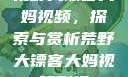 荒野大镖客大妈视频，探索与赏析荒野大镖客大妈视频剧情
