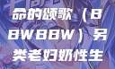另类视角下的老妇奶性与生命的颂歌（BBWBBW）另类老妇奶性生BBwBBw-BBBBB