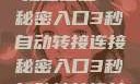 秘密入口，探索连接世界的极速通道—秘密入口3秒自动转接连接秘密入口3秒自动转接连接:解锁网络奇妙之门