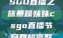 暴躁妹妹的CSGO直播之旅暴躁妹妹csgo直播节目回放完整版