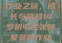 张婉莹的暑假作业之旅，成长与挑战14岁初中生张婉莹暑假作业网站