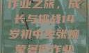 张婉莹的暑假作业之旅，成长与挑战14岁初中生张婉莹暑假作业网站