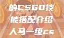 暴躁老阿姨的CSGO技能搭配介绍人马一级csgo交易网站