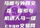 Python人马兽与外网交互，探索与机遇人马一级csgo交易网站