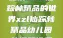 探索XZL仙踪林精品的世界xzl仙踪林精品幼儿园的课程设置