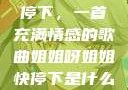 姐姐呀姐姐快停下，一首充满情感的歌曲姐姐呀姐姐快停下是什么歌曲小说