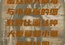 蜜丝婷大草莓与小草莓的细致对比蜜丝婷大草莓和小草莓对比图