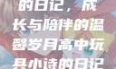 高中玩具小诗的日记，成长与陪伴的温馨岁月高中玩具小诗的日记小说