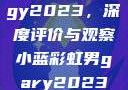 宏翔小蓝视频gy2023，深度评价与观察小蓝彩虹男gary2023的音乐作品