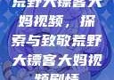 荒野大镖客大妈视频，探索与致敬荒野大镖客大妈视频剧情
