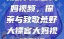 荒野大镖客大妈视频，探索与致敬荒野大镖客大妈视频剧情
