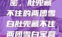军营深处的秘密，肚兜藏不住的两团雪白肚兜藏不住两团雪白军营小说在线看