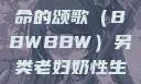 另类视角下的老妇奶性与生命的颂歌（BBWBBW）另类老妇奶性生BBwBBw肥婆BBX