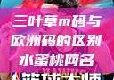 三叶草m码与欧洲码的区别水蜜桃网名