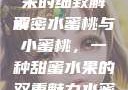 水蜜桃与小蜜桃，甜蜜之果的细致解读
解密水蜜桃与小蜜桃，一种甜蜜水果的双重魅力水蜜桃4小蜜桃4.