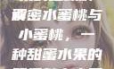 水蜜桃与小蜜桃，甜蜜之果的细致解读
解密水蜜桃与小蜜桃，一种甜蜜水果的双重魅力水蜜桃4小蜜桃4.