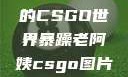 暴躁老阿姨的CSGO世界暴躁老阿姨csgo图片高清在线观看