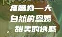 水蜜桃，甜美之果的韵味与魅力
水蜜桃—大自然的恩赐，甜美的诱惑水蜜桃免费观看电视剧